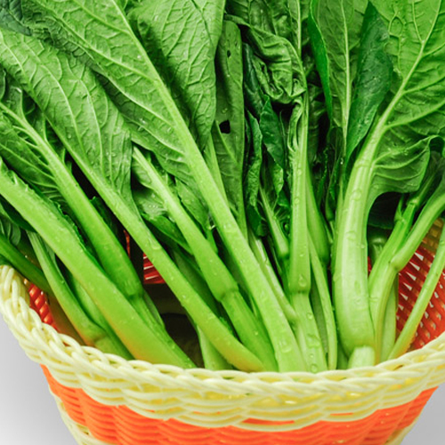 绿色菜心 新鲜青菜花 菜薹